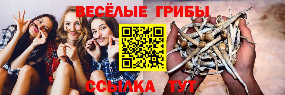 Псилоцибиновые грибы GOLDEN TEACHER Миллерово